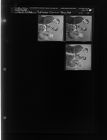 Reflector Carrier Boy Ad (3 Negatives) (March 15, 1963) [Sleeve 22, Folder c, Box 29]